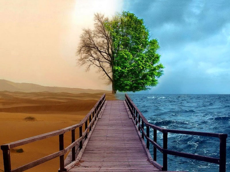 5 СТУПЕНЕЙ КОУЧ-ИДЕНТИЧНОСТИ.