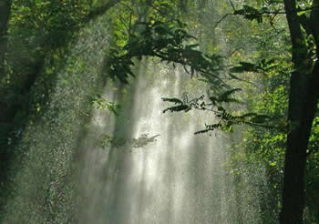 Уровень трансформации: внутренний покой и единство смыслов Уровень трансформации: внутренний покой и единство смыслов