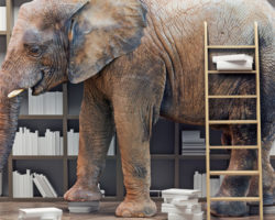 Креативные подходы к поиску решений