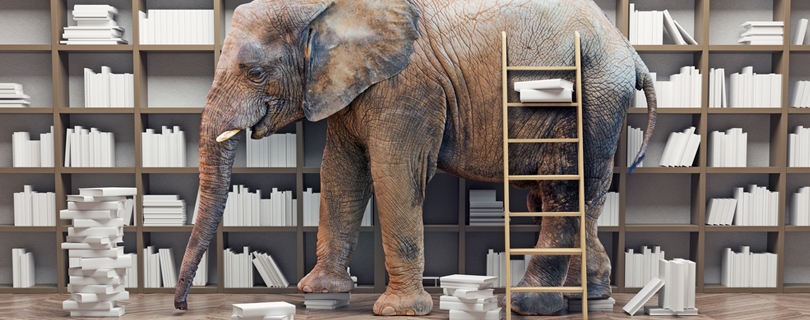 Креативные подходы к поиску решений