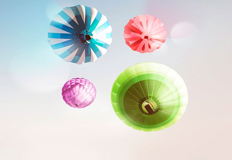 Куда приводят мечты?