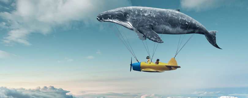 Система Кайдзен. Небольшими шагами к большим целям