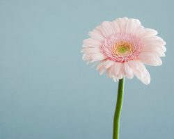 Что такое трансформационный коучинг?