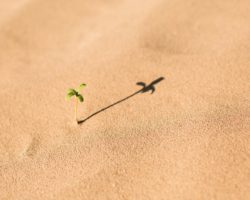 Проблема перфекционизма