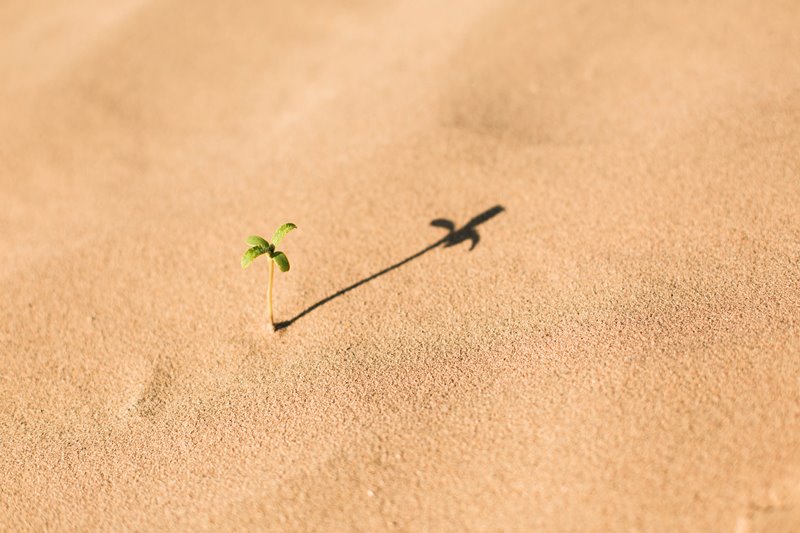 Проблема перфекционизма