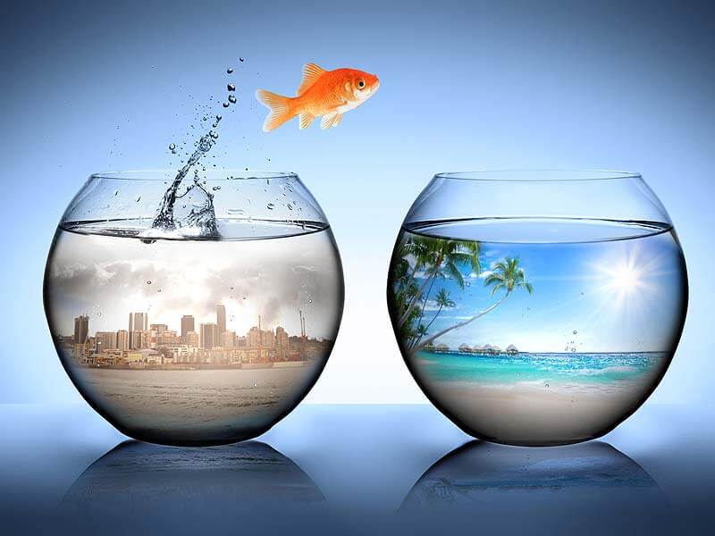 Зона комфорта это